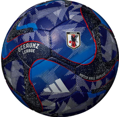 サッカー日本代表