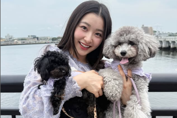 杏ジュリア